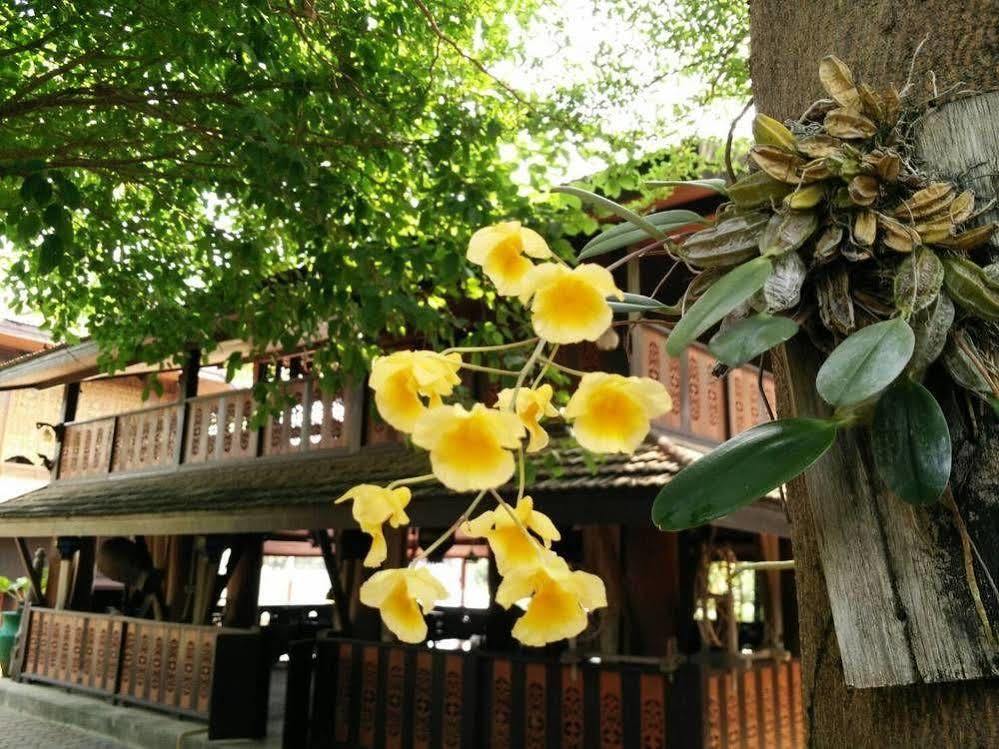 Heuan Parittapa Lanna Resort Baan Tawai Chiang Mai Exterior photo